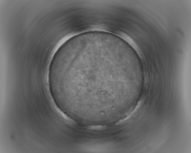 X0000113251339200910081311