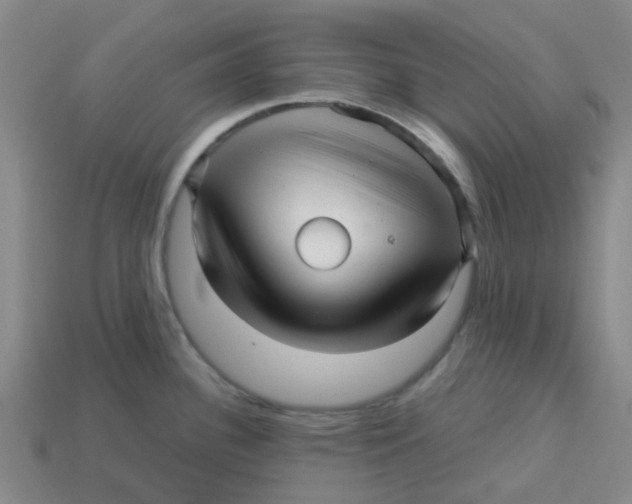 X0000113251340200910081311