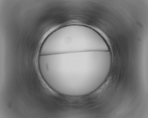 X0000113251341200910081311