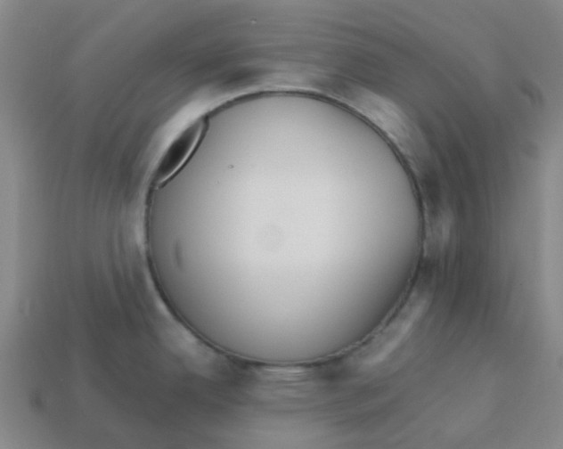 X0000113251342200910081311