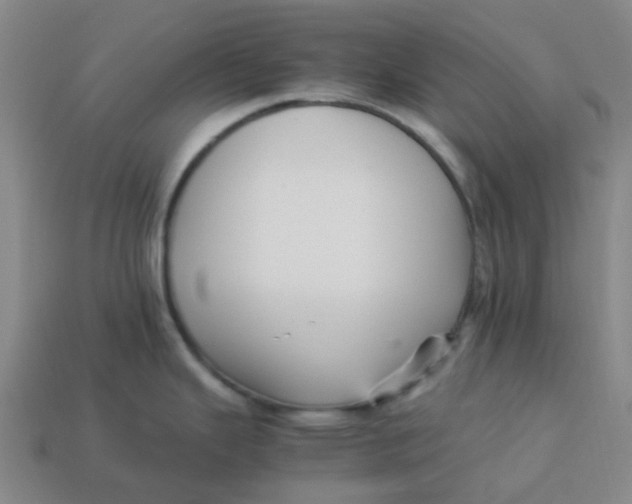 X0000113251343200910081311