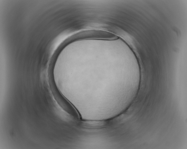 X0000113251344200910081311