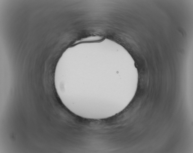 X0000113251345200910081310