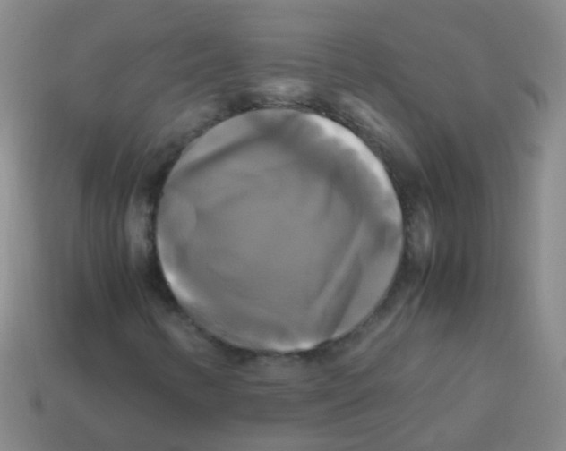 X0000113251346200910081310