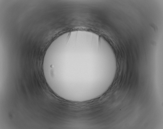 X0000113251348200910081310