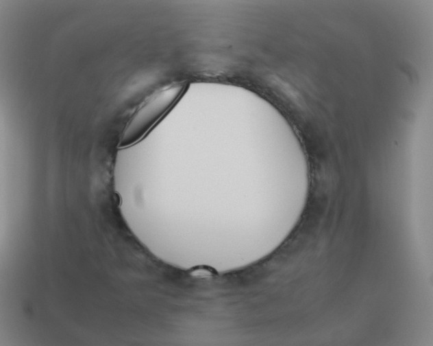 X0000113251349200910081310