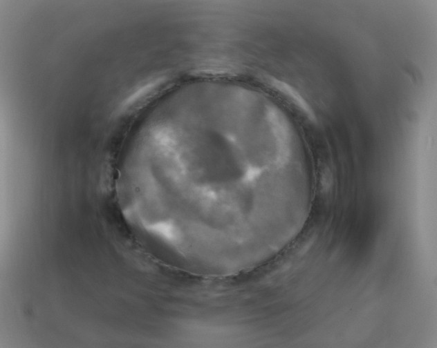 X0000113251350200910081310