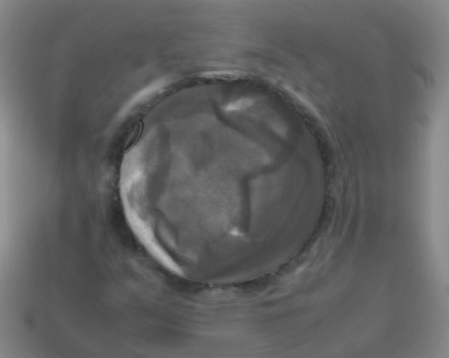 X0000113251351200910081310