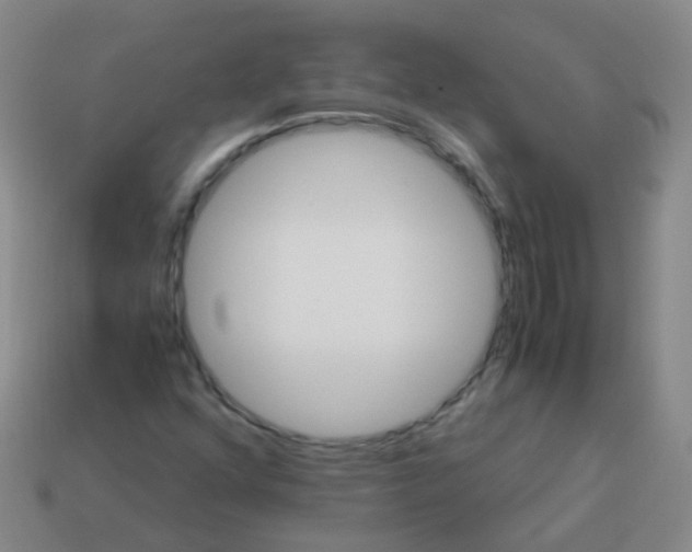 X0000113251352200910081310