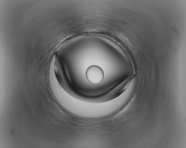 X0000113251353200910081310