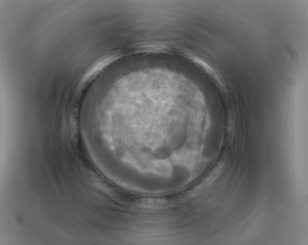 X0000113251354200910081310