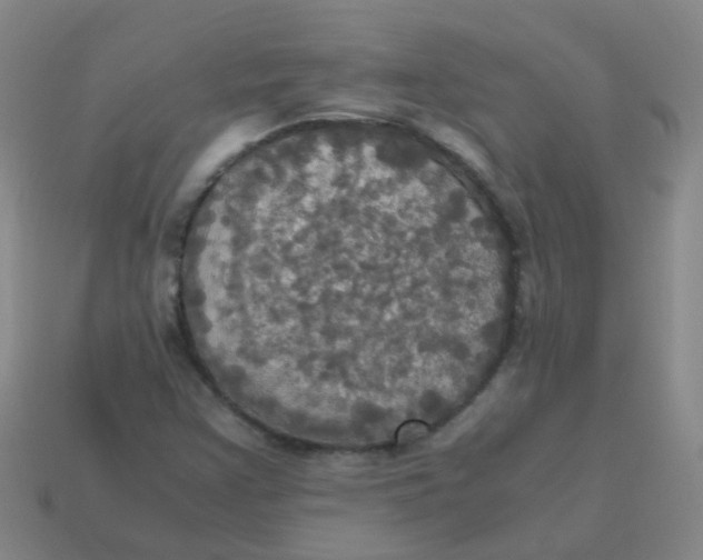 X0000113251355200910081310