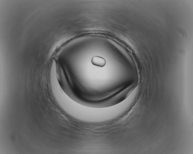 X0000113251357200910081310