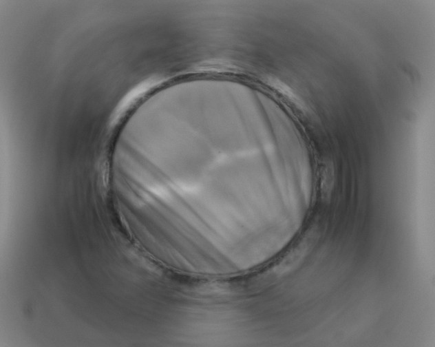 X0000113251358200910081310