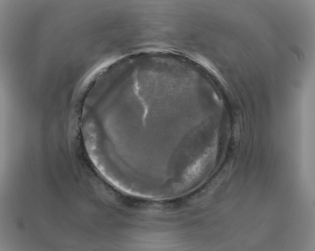 X0000113251359200910081310