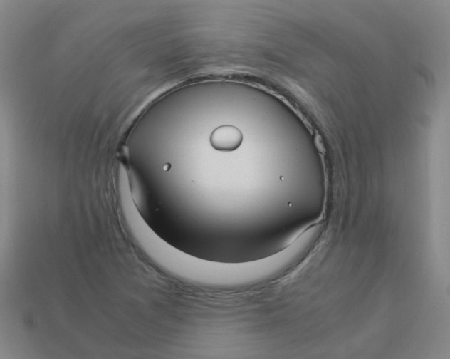 X0000113251361200910081310