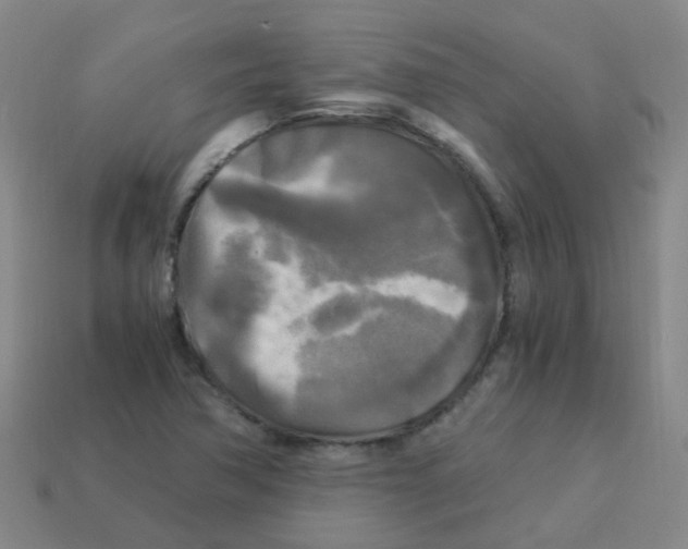 X0000113251362200910081310