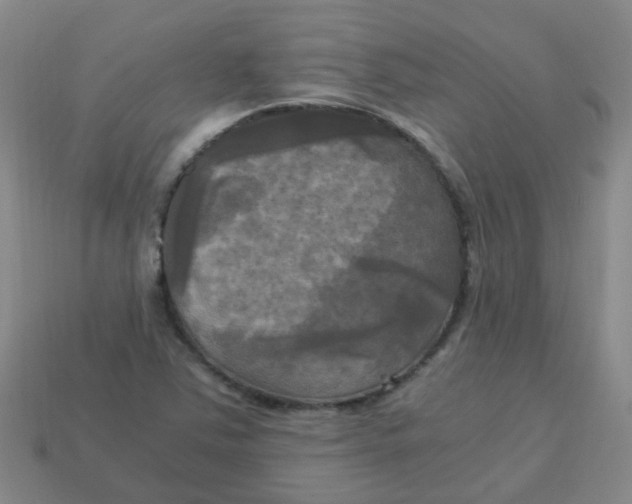 X0000113251363200910081310