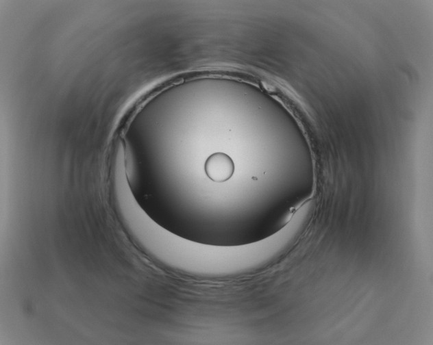 X0000113251364200910081310