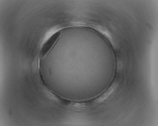 X0000113251365200910081310