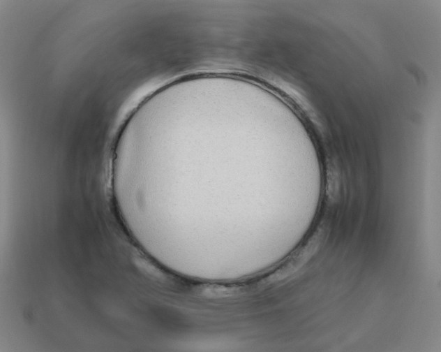 X0000113251366200910081310