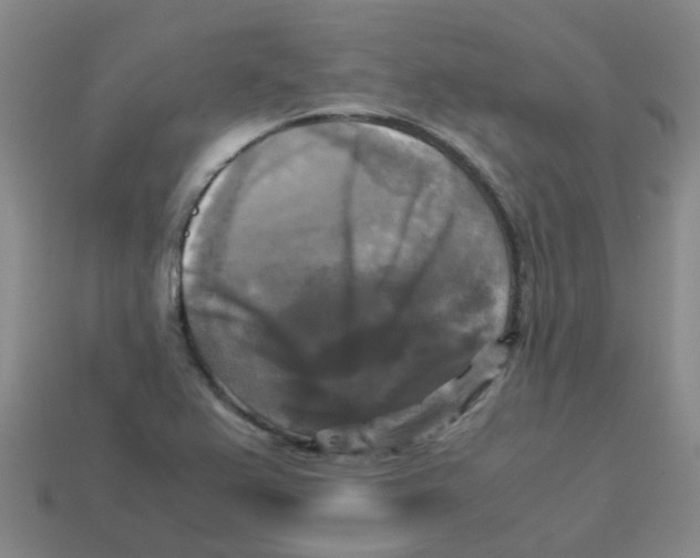 X0000113251367200910081310