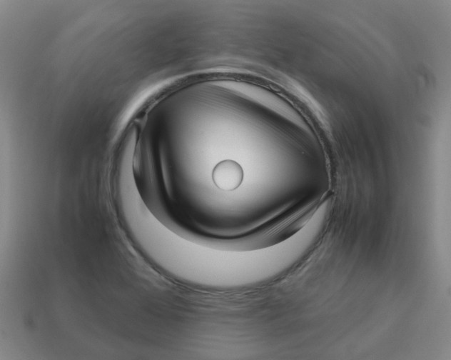 X0000113251368200910081310