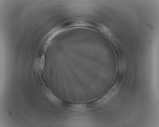 X0000113251369200910081310