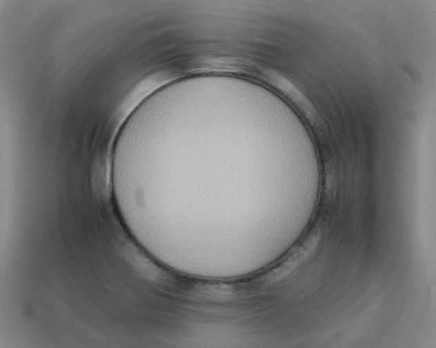 X0000113251370200910081310