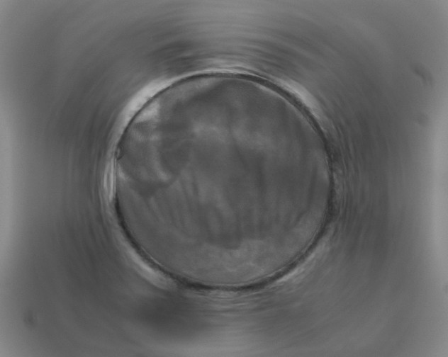 X0000113251371200910081310