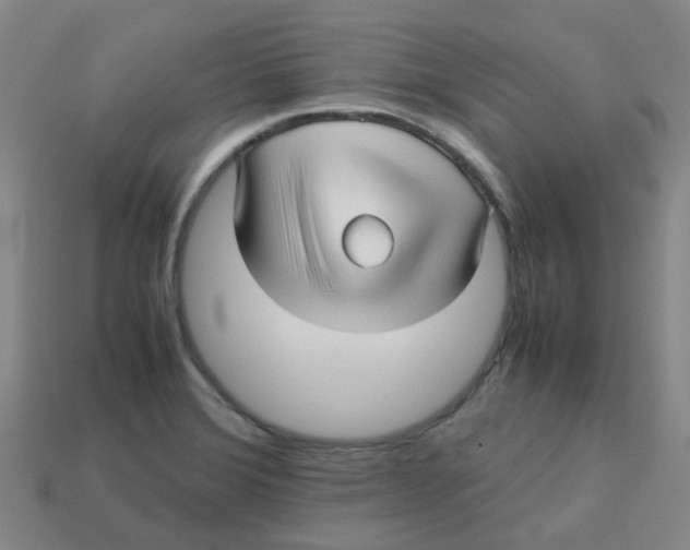 X0000113251372200910081310