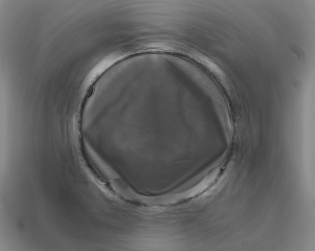 X0000113251373200910081310