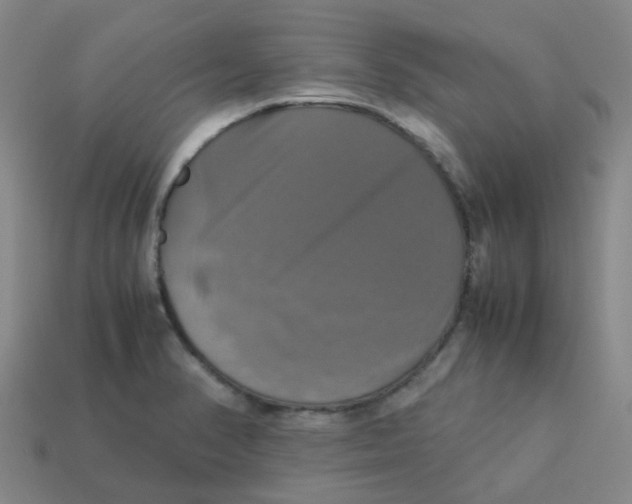 X0000113251374200910081310