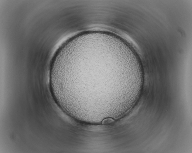 X0000113251376200910081310