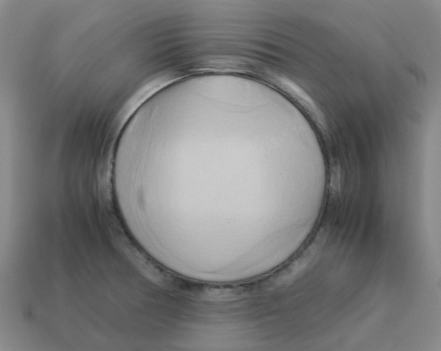 X0000113251378200910081310