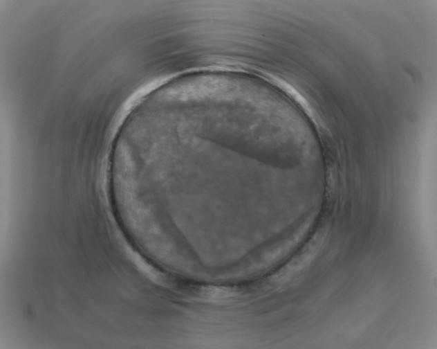 X0000113251379200910081310