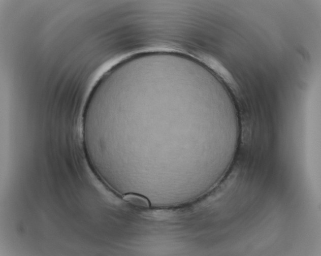 X0000113251380200910081310