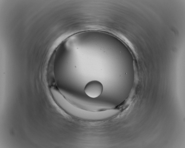 X0000113251381200910081310