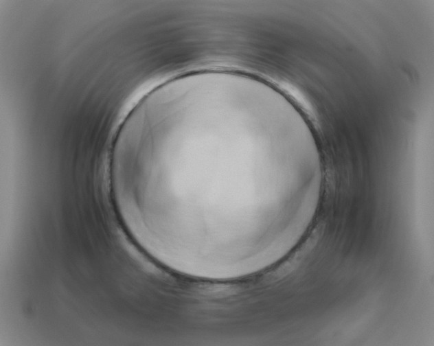 X0000113251382200910081310