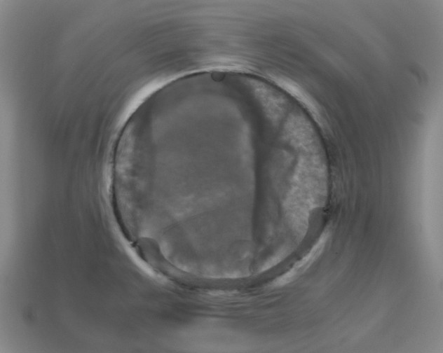 X0000113251383200910081310