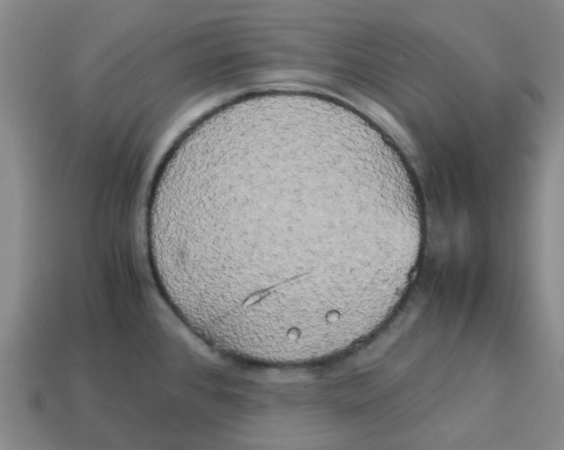 X0000113251384200910081310