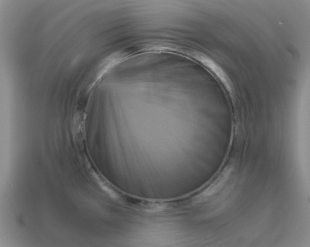 X0000113251385200910081310