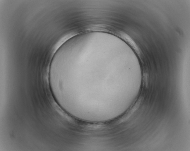 X0000113251386200910081310