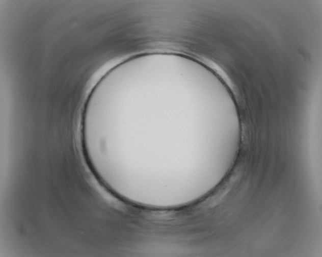 X0000113251387200910081310