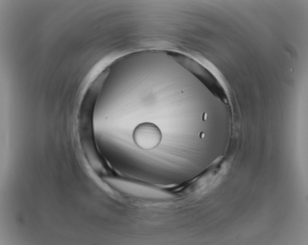 X0000113251389200910081310