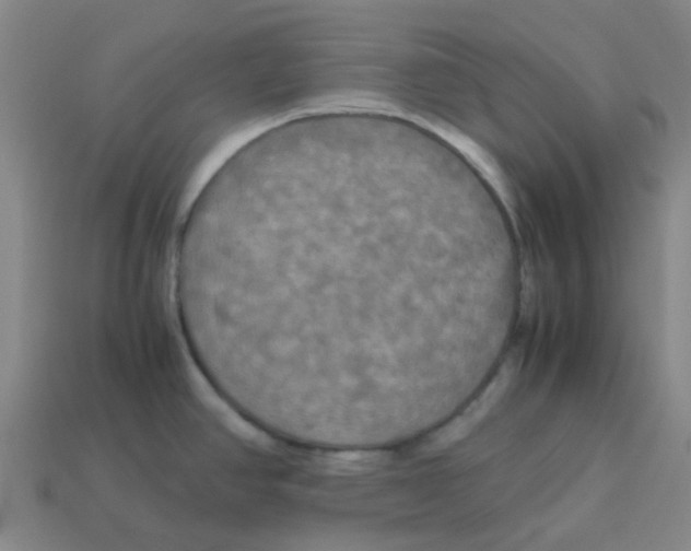 X0000113251390200910081310