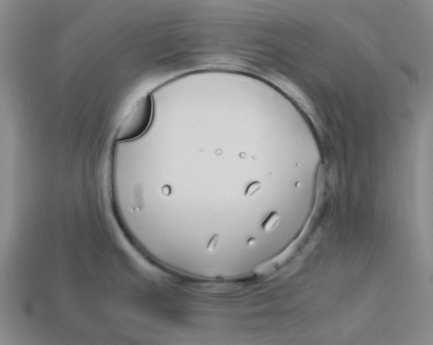 X0000113251391200910081309