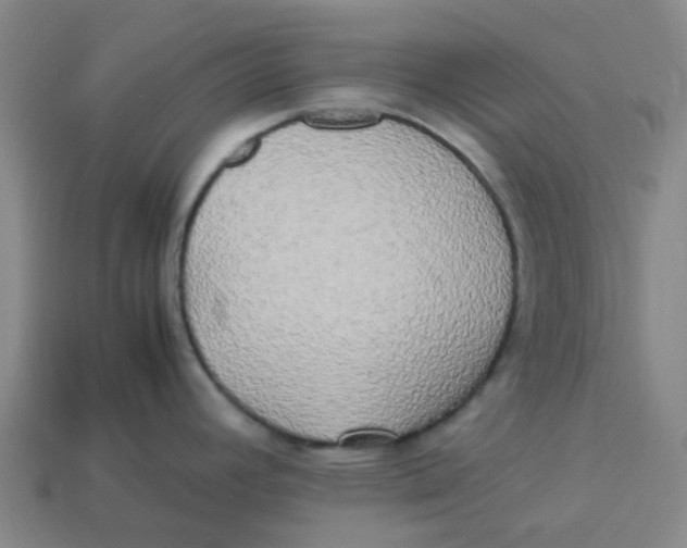 X0000113251392200910081309