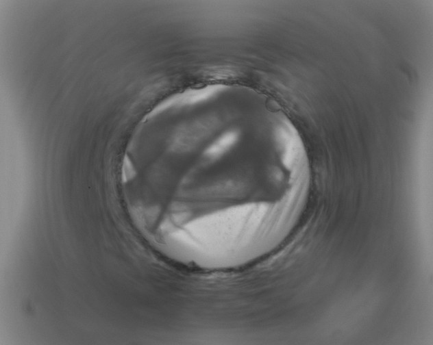 X0000113251393200910081309