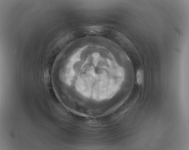 X0000113251395200910081309